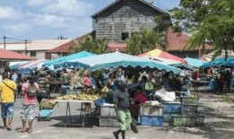 圭亚那在线观看,探索南美洲的神秘魅力