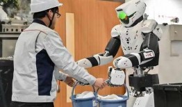 丝袜交足在线观看,足尖上的激情之旅